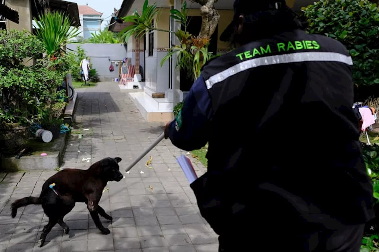 8 September, Sejarah dan Tujuan Hari Rabies Sedunia