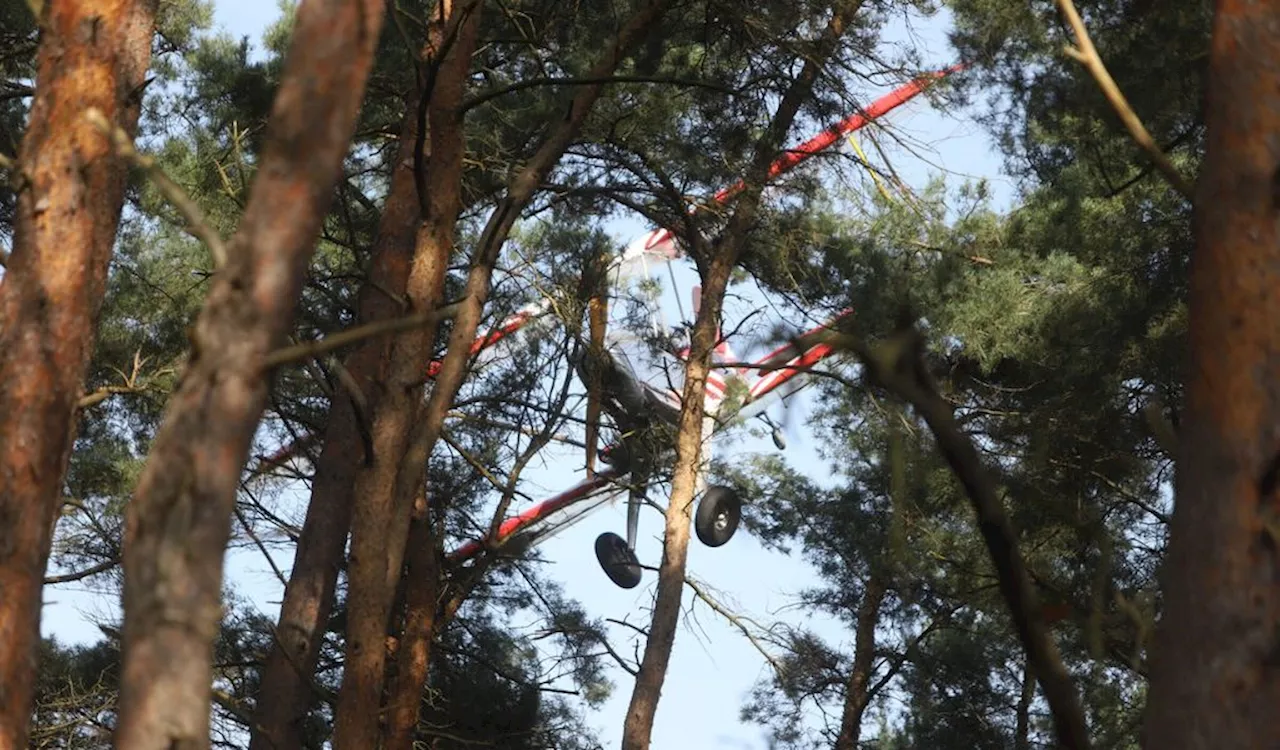 Flugzeug stürzt ab und bleibt in Baum hängen – Großeinsatz bei Hamburg