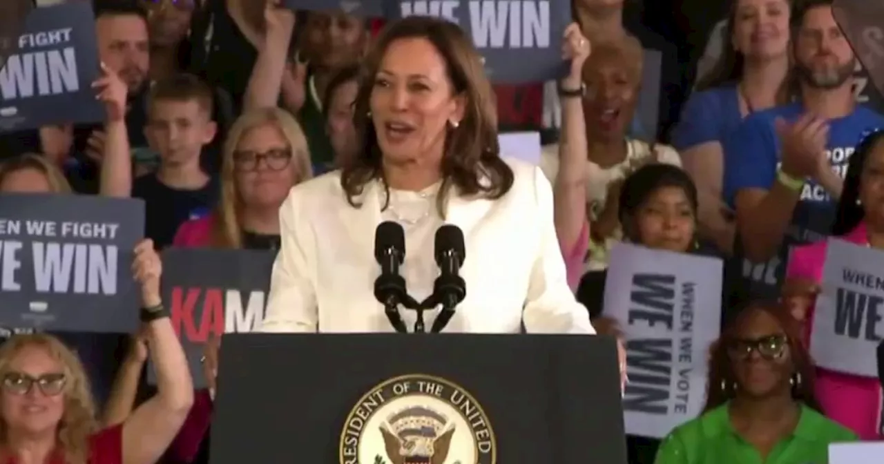 Dismiss' Trump's antics: panel discusses how Harris should deal with Trump at debate