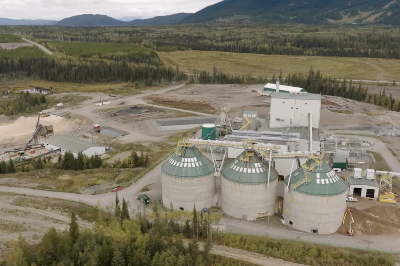 Nak'azdli Whut'en chief critical of Canfor's decision to shut down Plateau Mill