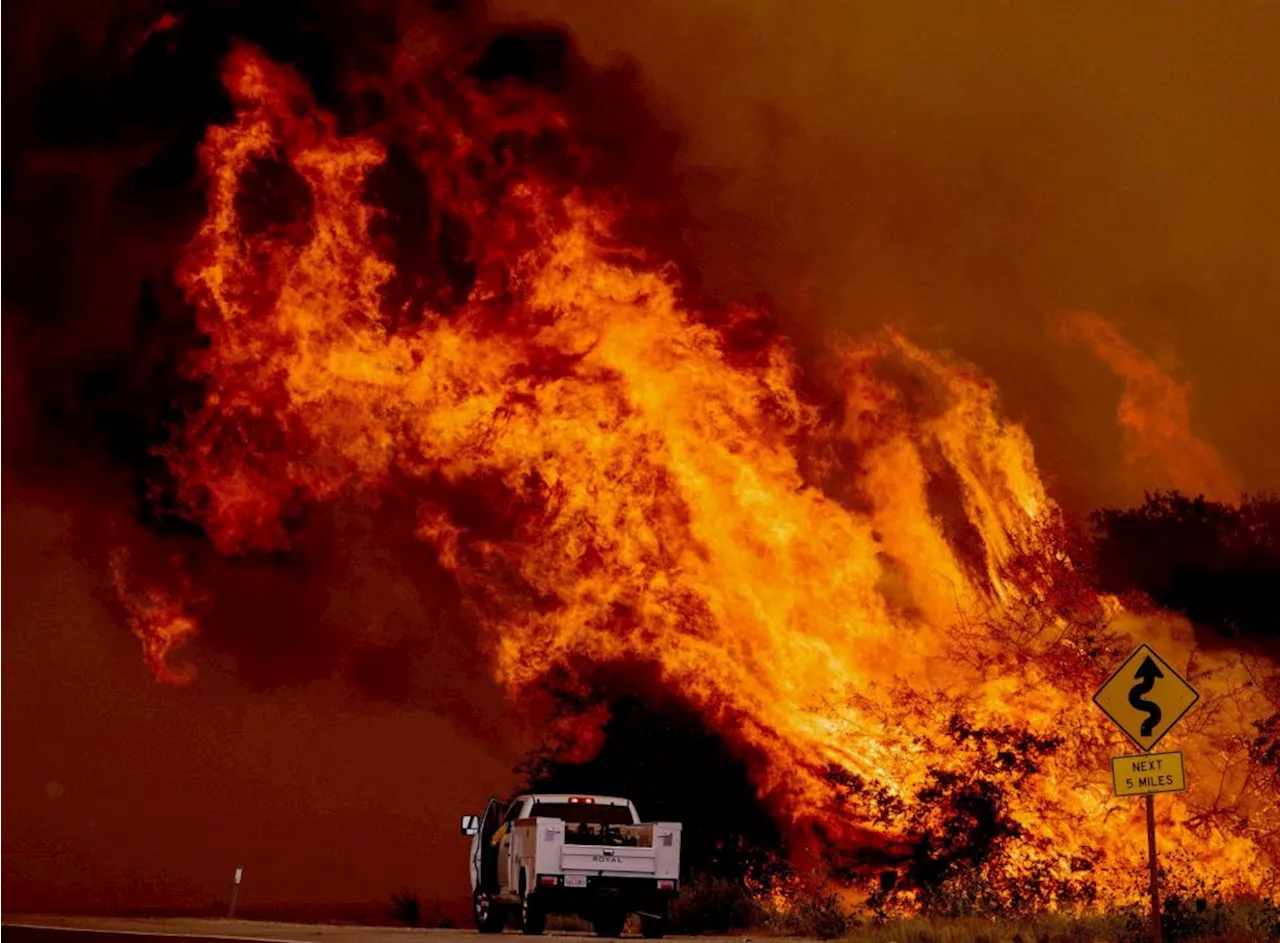 Crews make progress mopping up Campo-area brush fire