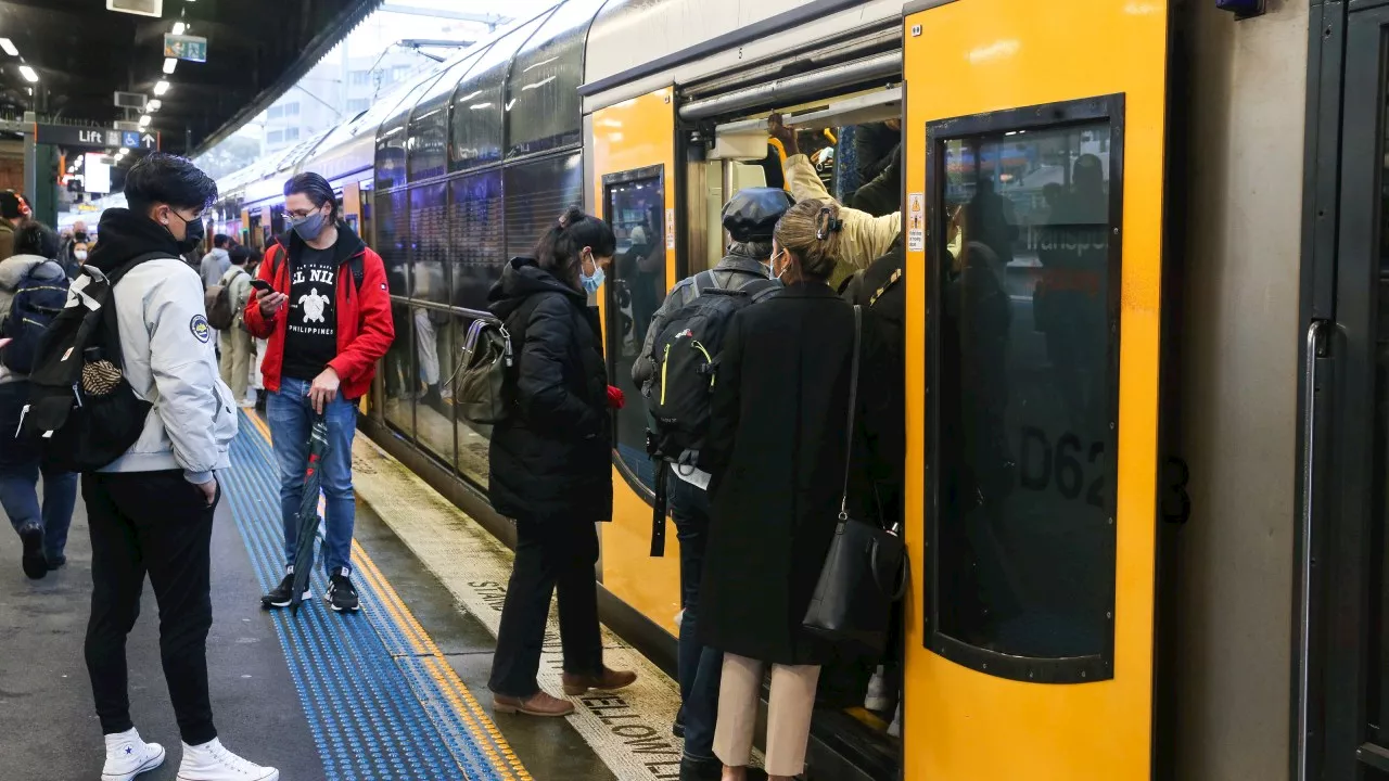 Urgent track repairs at Sydney’s Central Station spark commuter chaos