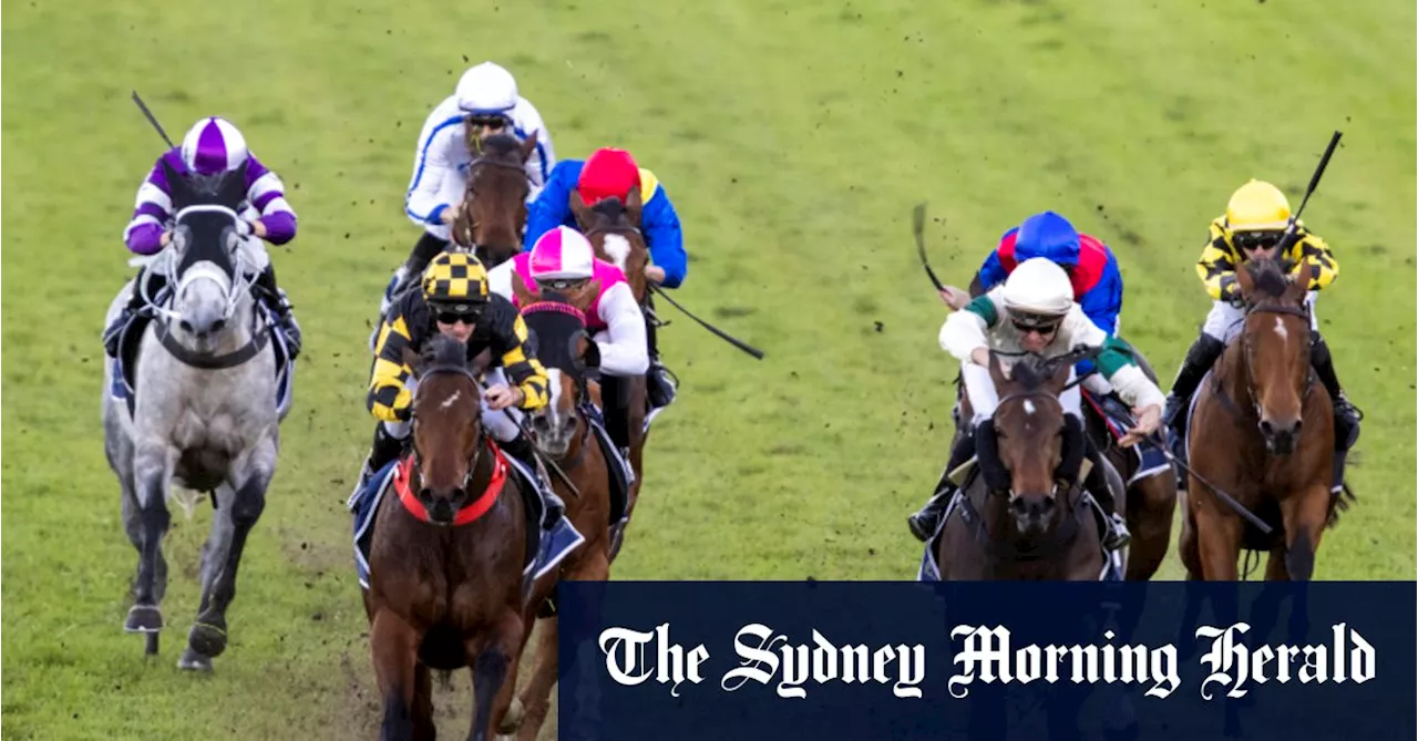 Race-by-race preview and tips for Grafton on Monday