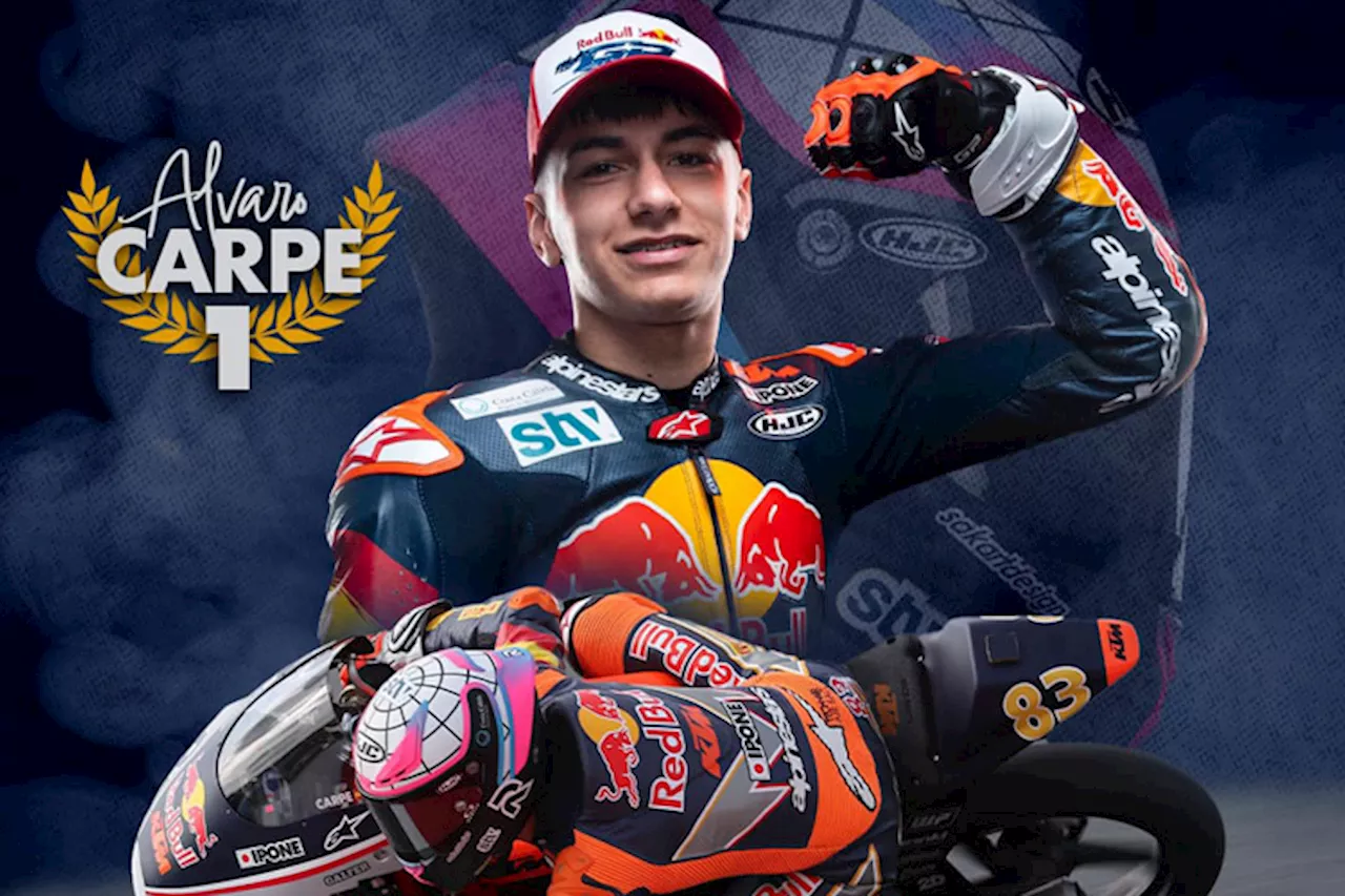 Red Bull Rookies Champion 2024: Alvaro Carpe