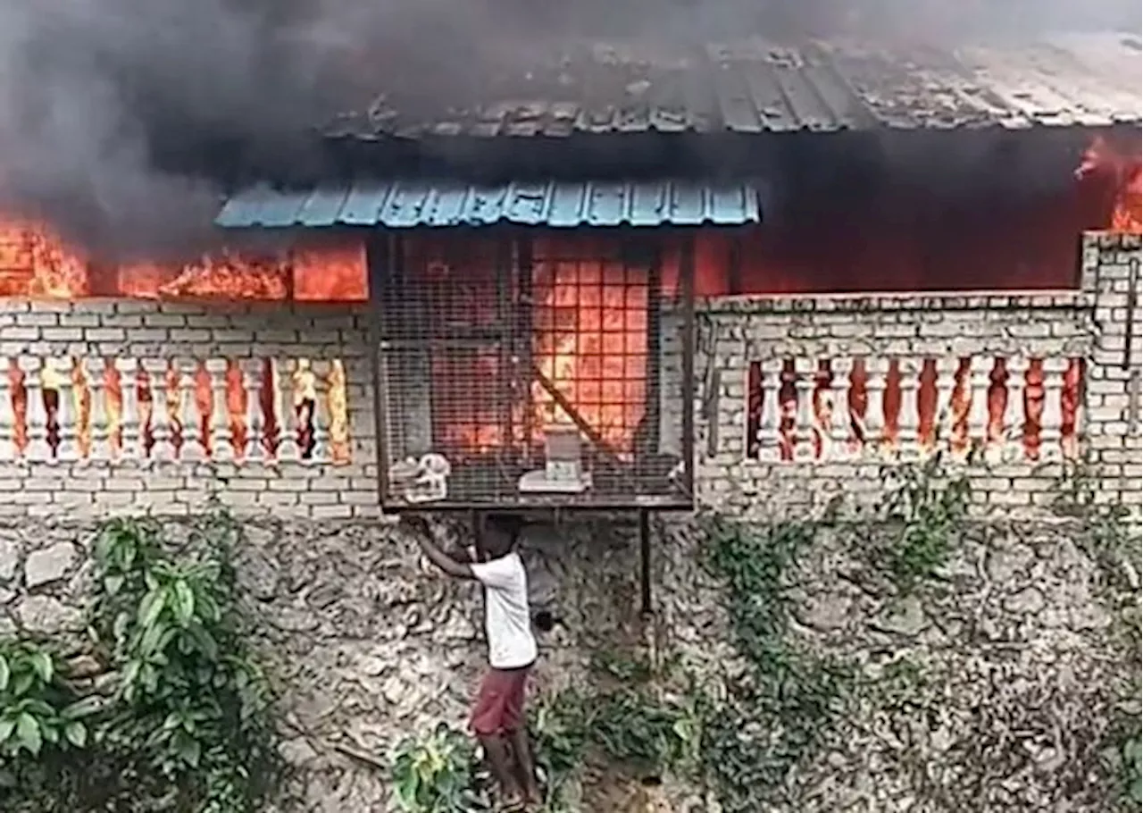 Brave boy saves rabbits from fire