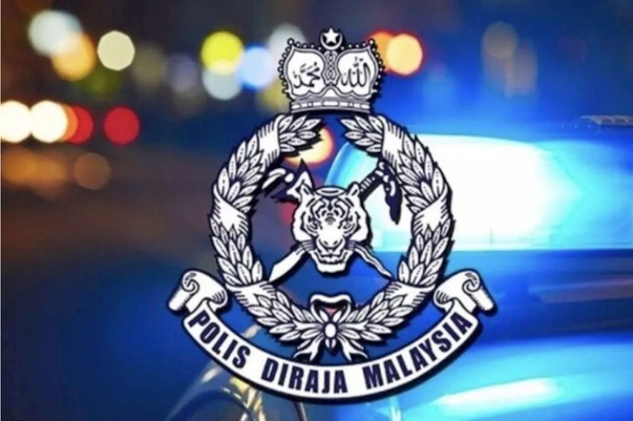 GOF busts Pasir Mas smuggling ring, RM400,000 worth of pig carcasses seized