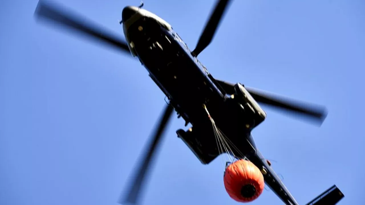 Stundenlange Löscharbeiten: Waldbrand im Landkreis Schwandorf