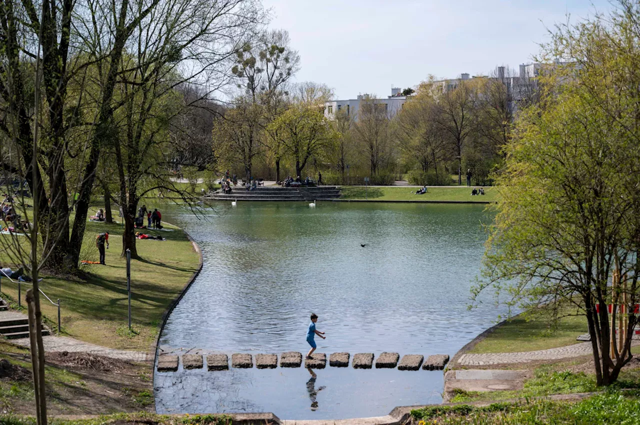 München: Fischsterben im Westpark-See - Sauerstoffmangel wohl Ursache