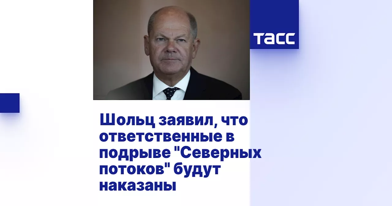 Шольц заявил, что ответственные в подрыве 'Северных потоков' будут наказаны