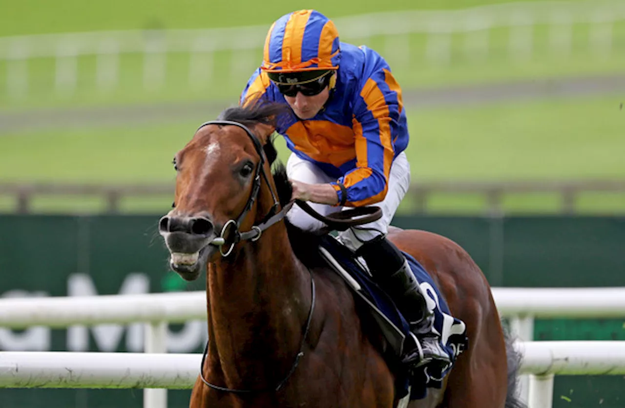 Aidan O'Brien has to settle for third as Tribalist lands Prix du Moulin shock