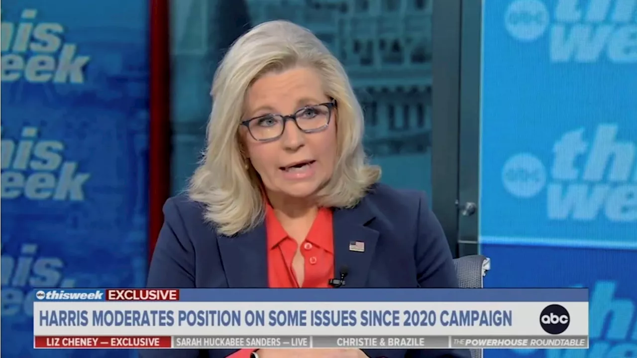 Liz Cheney: Vote Kamala Harris Because Donald Trump Is ‘Depraved’