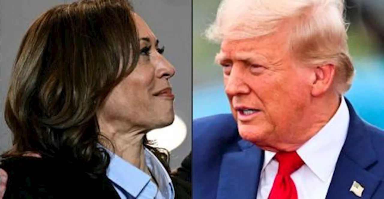 Fact-checkers brace for lie-filled debate as Trump faces Harris