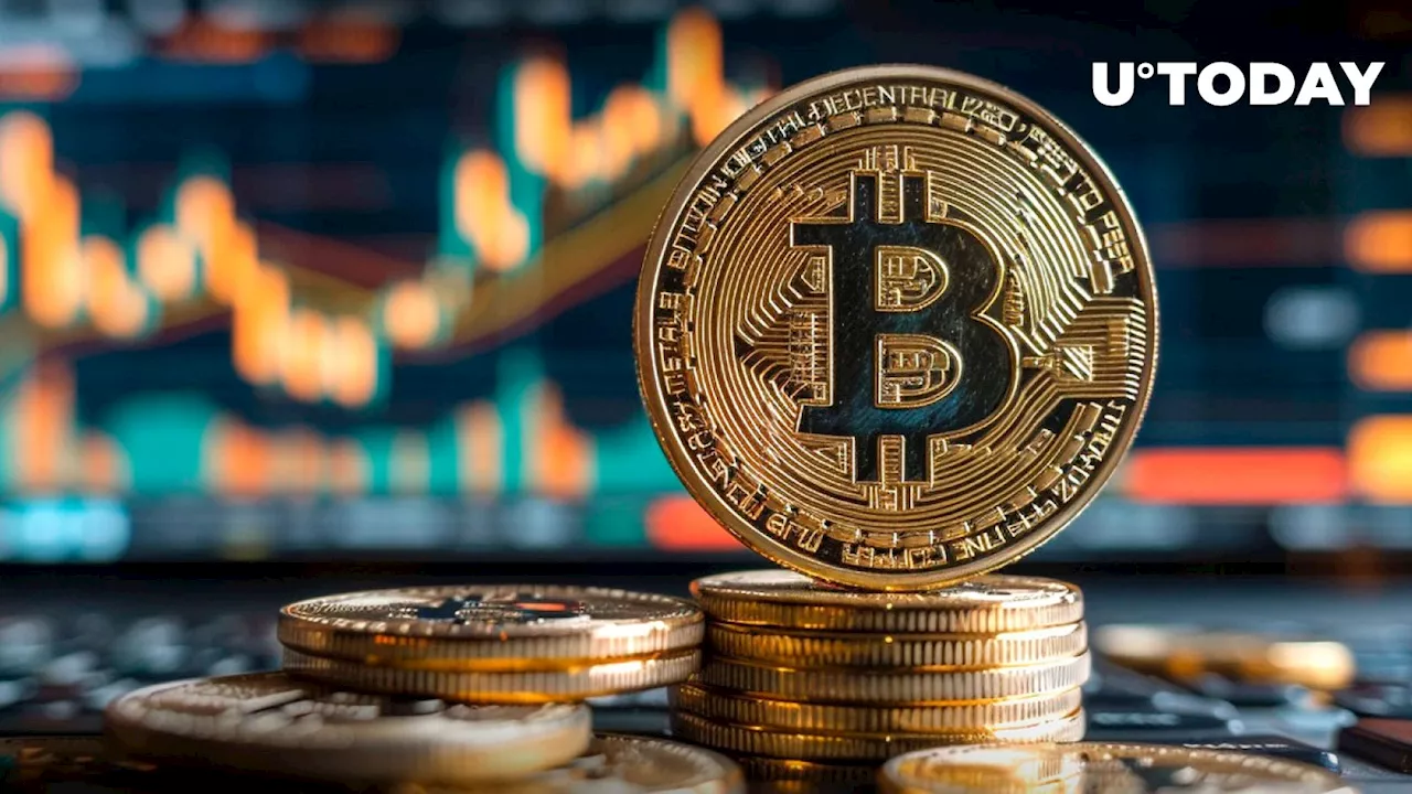 Bitcoin Historical Cycle Predicts Massive Rally in 2025: Details