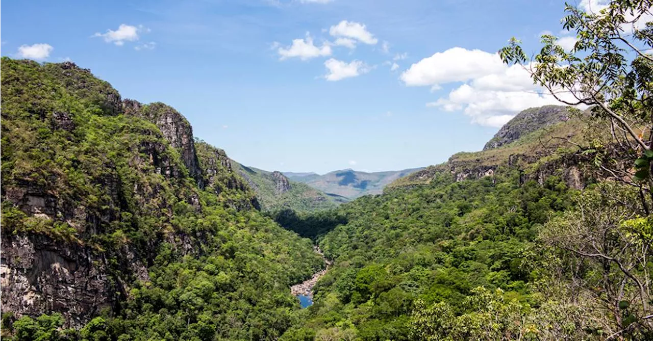 Incêndio destrói mais de 10 mil hectares do Parque Nacional da Chapada dos Veadeiros