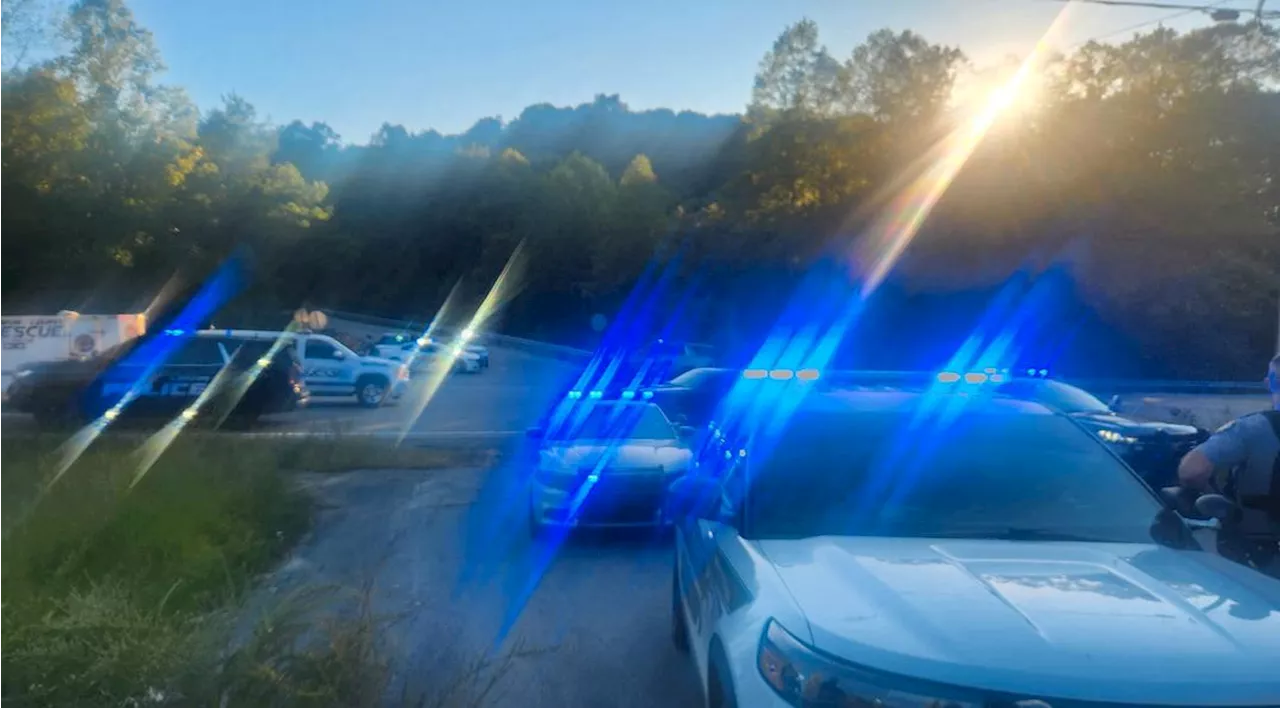 Skyting fra skogsområde mot biler på motorvei i Kentucky