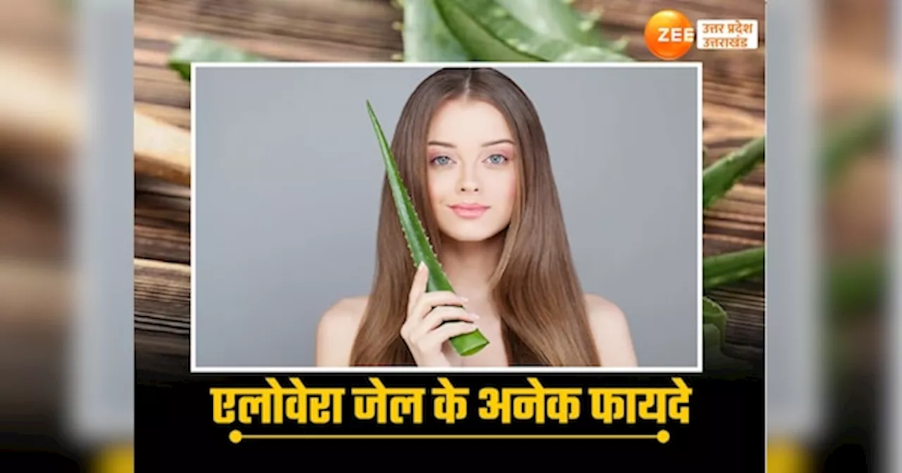 Aloe Vera Benefits: चेहरे की चमक के लिए जादूई है एलोवेरा जेल, बुढ़ापे तक मिलेंगे इसके अनेक फायदे