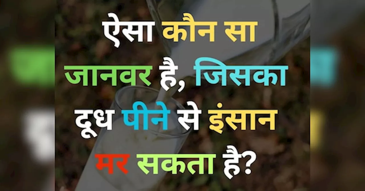 GK Quiz: ऐसा कौन सा जानवर है, जिसका दूध पीने से इंसान मर सकता है?