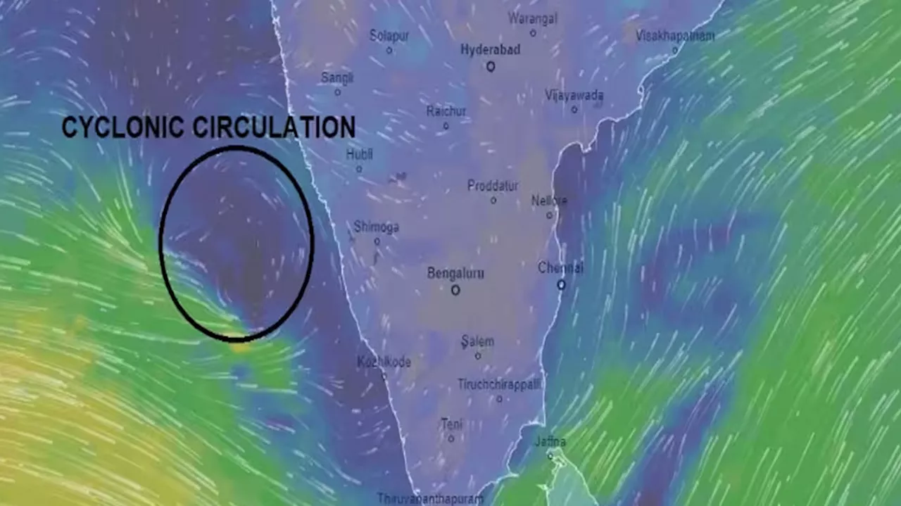 Kerala Rain Updates: തീവ്രന്യൂനമർദ്ദം:സംസ്ഥാനത്ത് ഒരാഴ്ചത്തേക്ക് മഴ സാധ്യത, 6 ജില്ലകളിൽ ഇന്ന് യെല്ലോ അലർട്ട്!