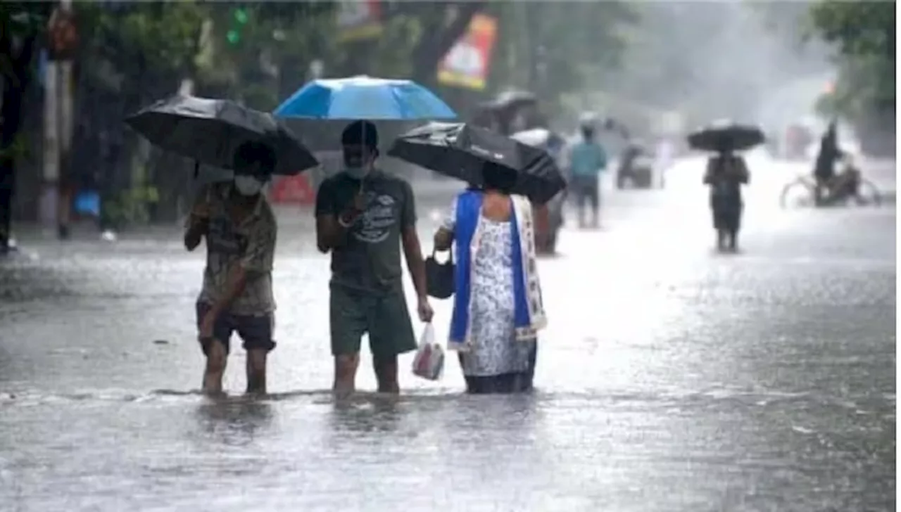 Telangana Heavy Rains: తెలంగాణలో మూడ్రోజులు భారీ వర్ష సూచన, 19 జిల్లాలకు ఆరంజ్ అలర్ట్