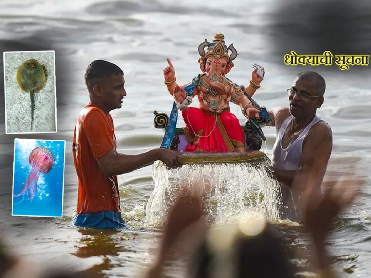 Visarjan: गणेशभक्तांनो सावधान! विसर्जनावर घातक माशांचं सावट; सरकारचा इशारा, दिल्या 'या' सूचना