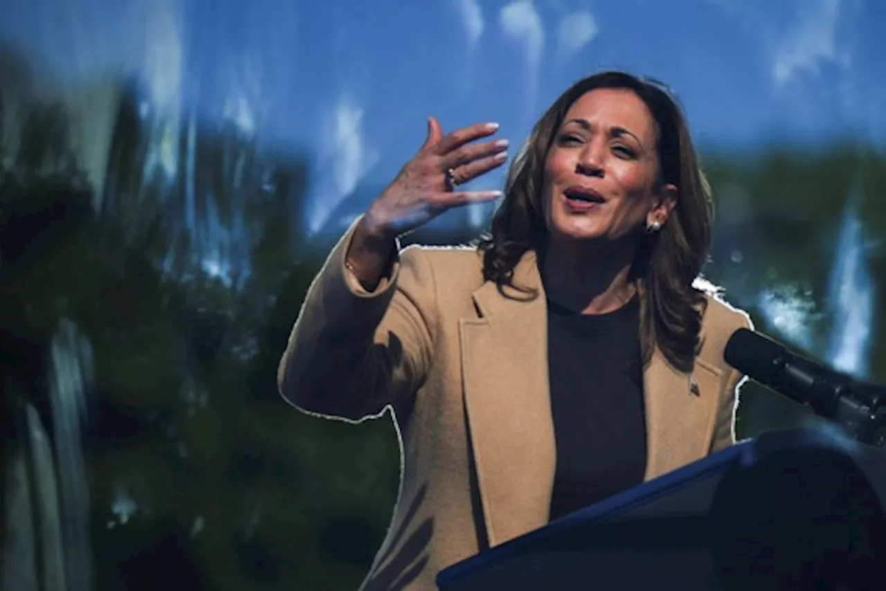 Kamala Harris zal ook om de Amerikaanse portefeuilles moeten strijden