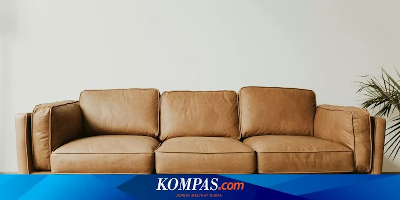 Cara Merawat Sofa Kulit agar Tampak Baru dan Tahan Lama