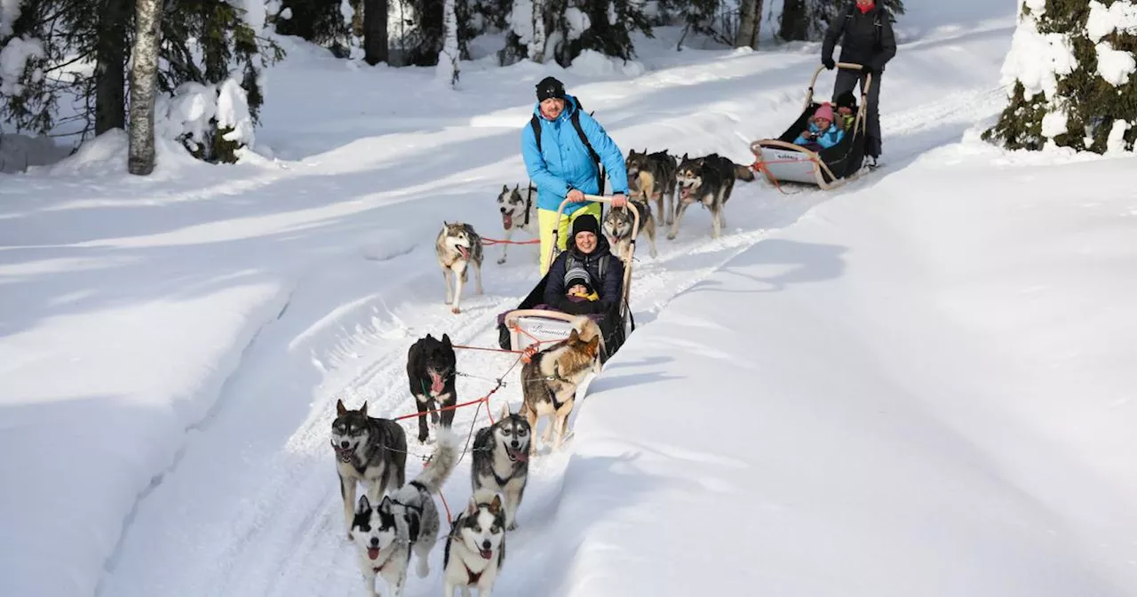 Lappland: Huskys, Rentiere und ganz viel Schnee im hohen Norden