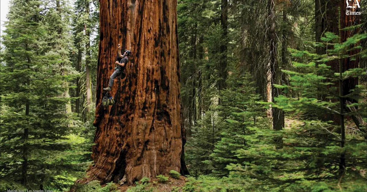 With 25% of state land protected, California nears its '30x30' conservation goal