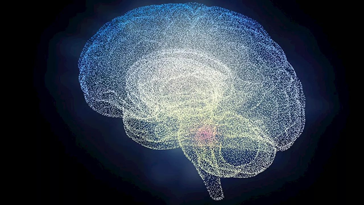 EU Brain Thematic Network Meets to Develop Policy Statement
