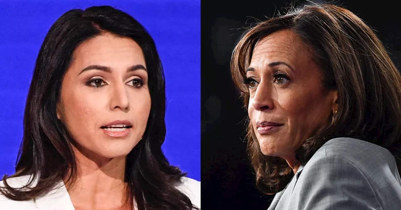 How Tulsi Gabbard's big moment with Kamala Harris is playing into Tuesday's debate