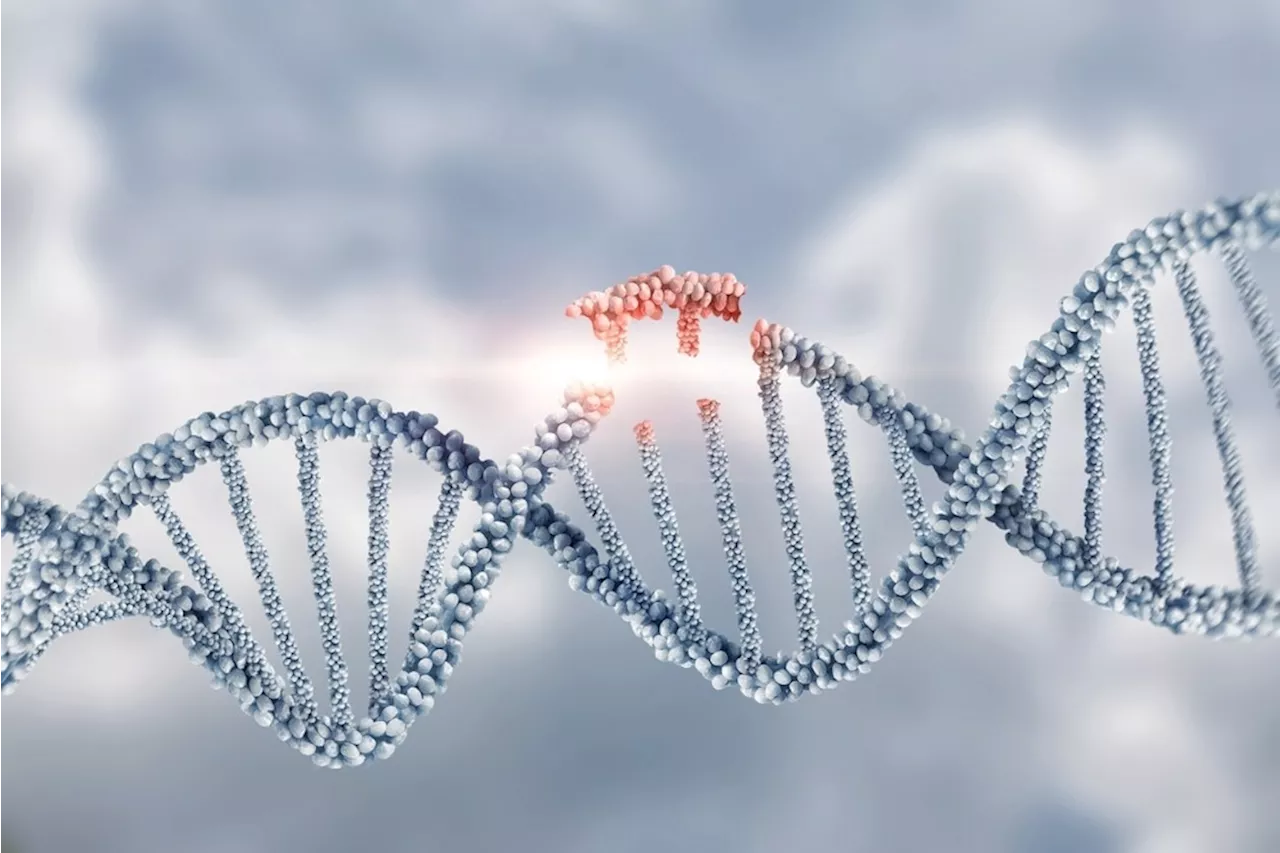 How do Genetic Mutations Cause Disease?