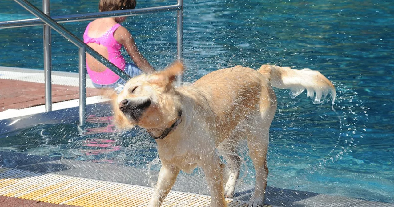 Ein letzter Sprung ins Wasser? Alle Infos zum Ende der Freibad-Saison im Lübbecker Land