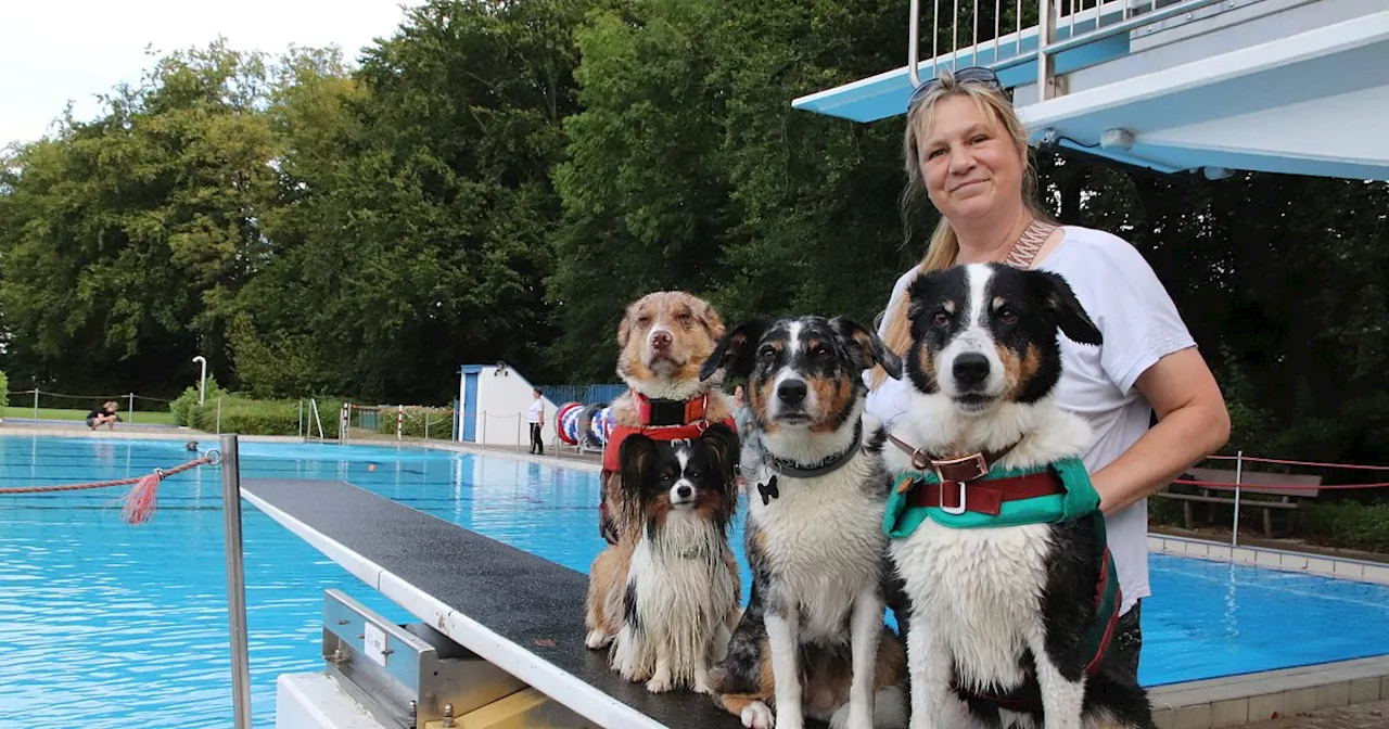 Hundeschwimmen im Freibad Elverdissen: So lief das Freibad-Saisonfinale