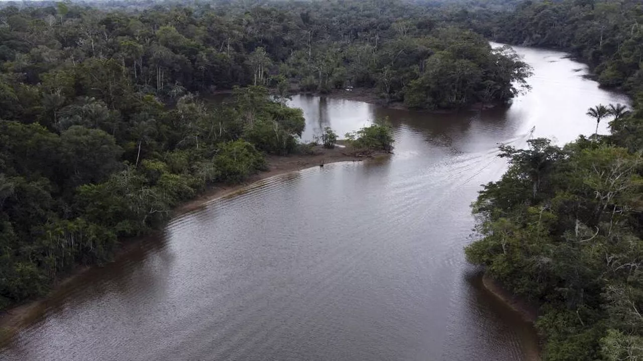 Deux bûcherons tués par des indigènes au Pérou après avoir « empiété » sur leur territoire