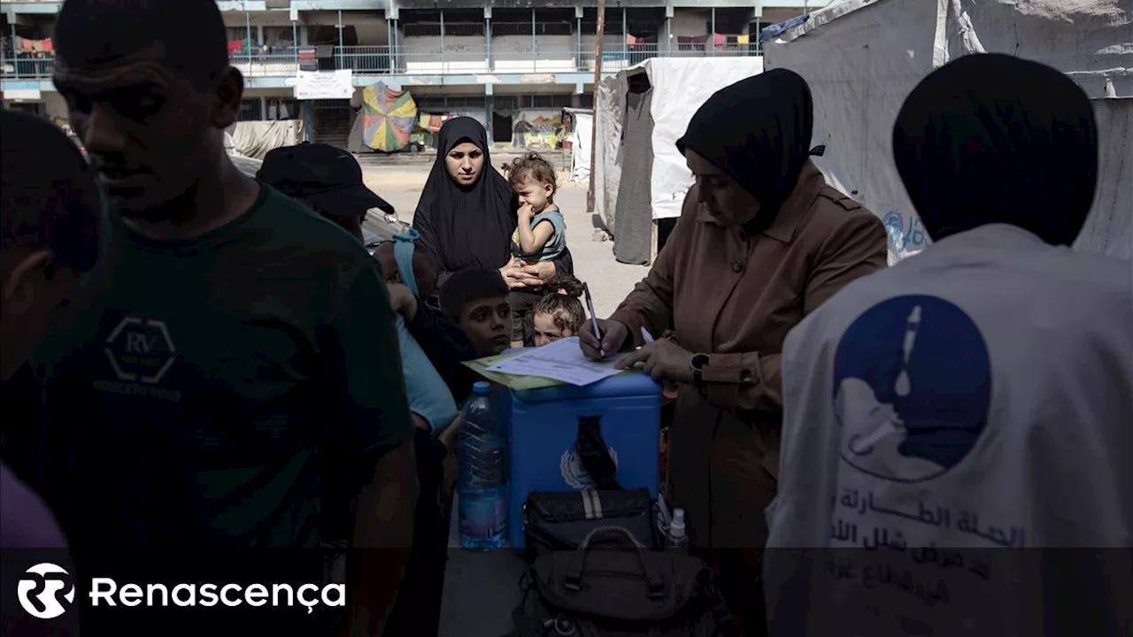 Comitiva das Nações Unidas na Faixa de Gaza libertada após detenção por Israel