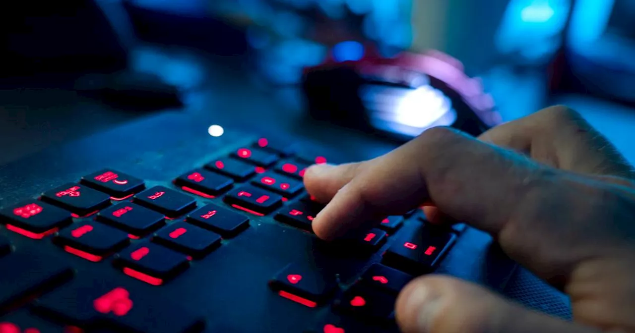 Russische Cyberangriffe: Polen zerschlägt Ring von Cybersaboteuren