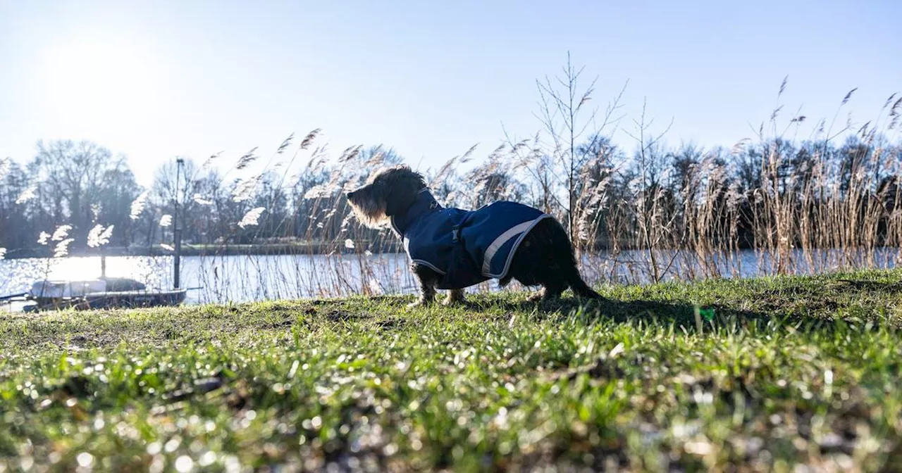 Wetter in NRW: Herbst kommt - Woche bringt Bodenfrost