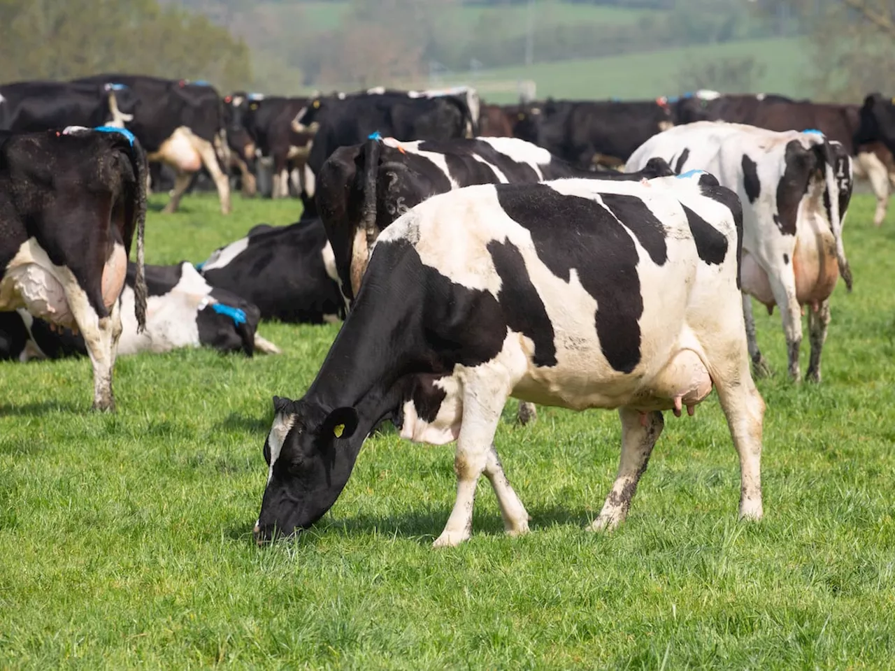 Shropshire livestock farmers urged to think about their future plans