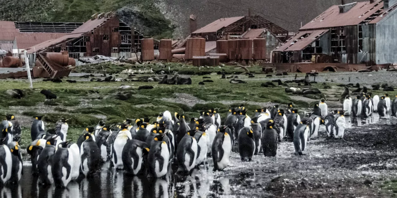 Upgrading Linux with Rust looks like a new challenge. It's one of our oldest
