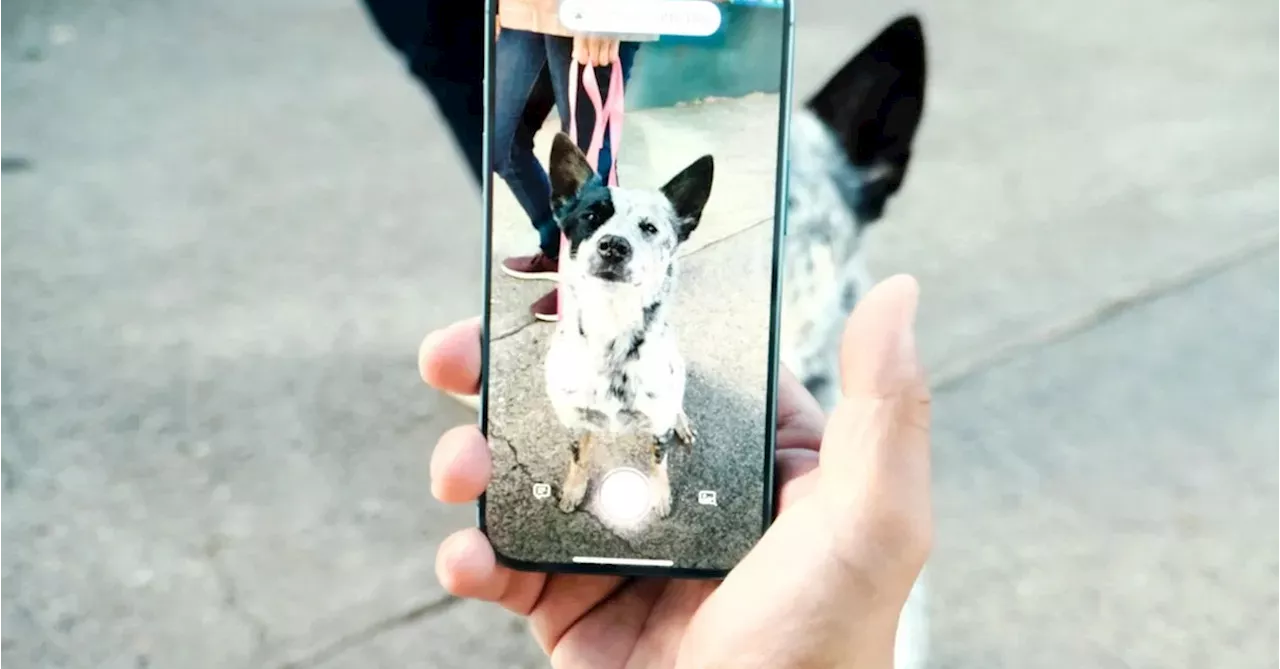 Apple’s Visual Intelligence is a built-in take on Google Lens