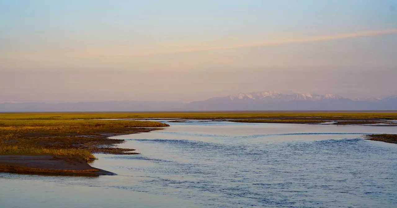 Arctic Wildlife Refuge Lease Sale Delayed to January 10th