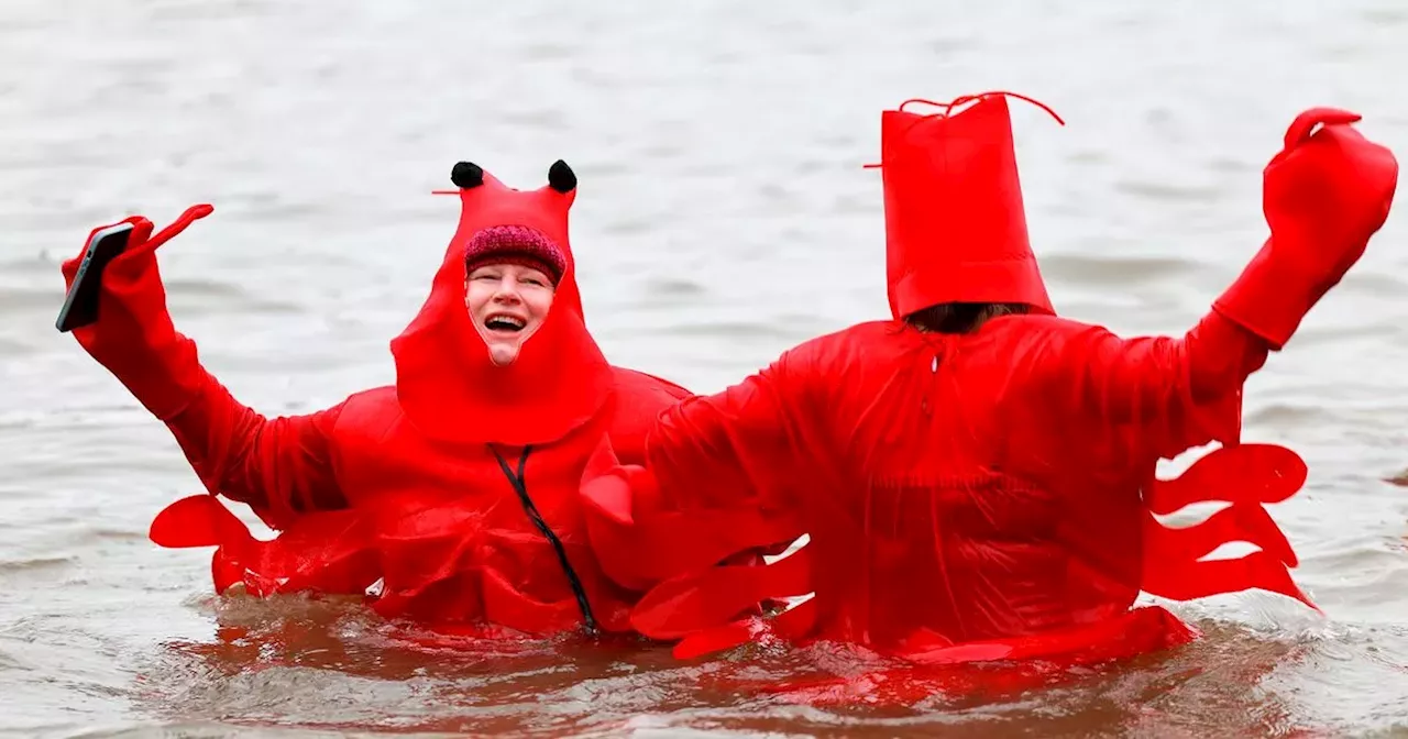 Loony Dook Continues Despite Edinburgh Removal, Glasgow City Centre Sees Shocking Incident