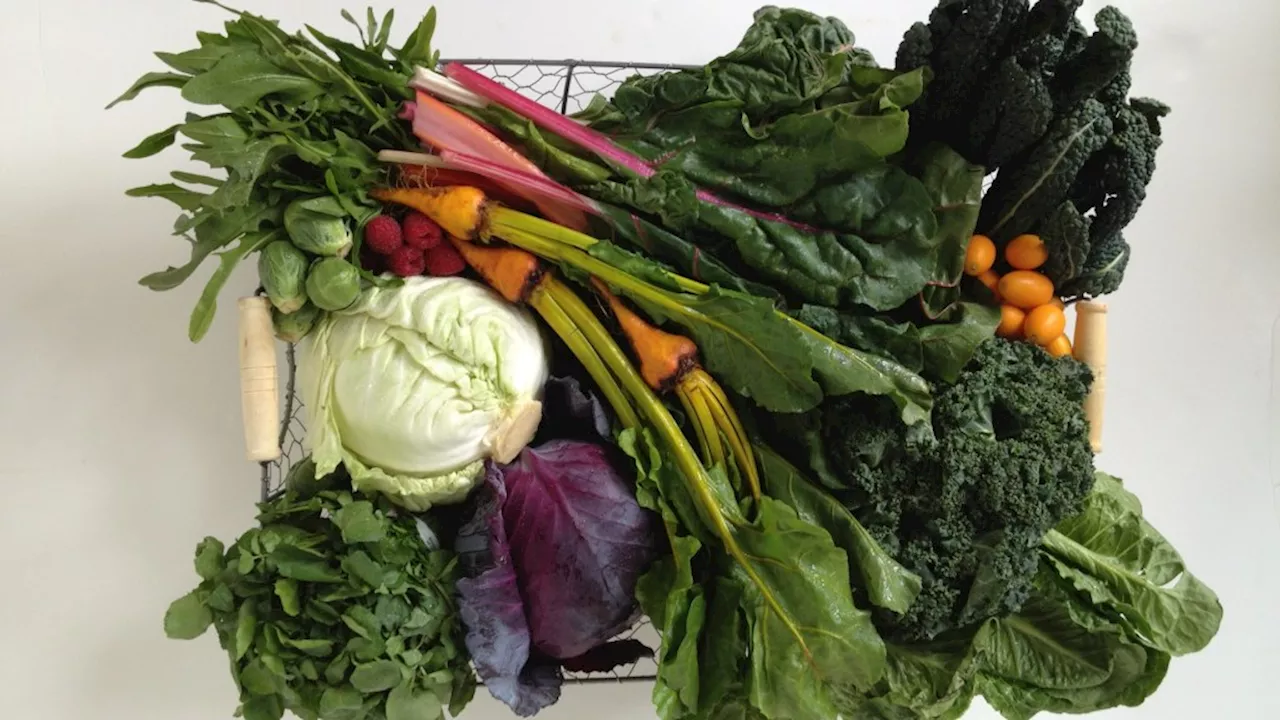 Tips for Buying and Storing Fresh Vegetables