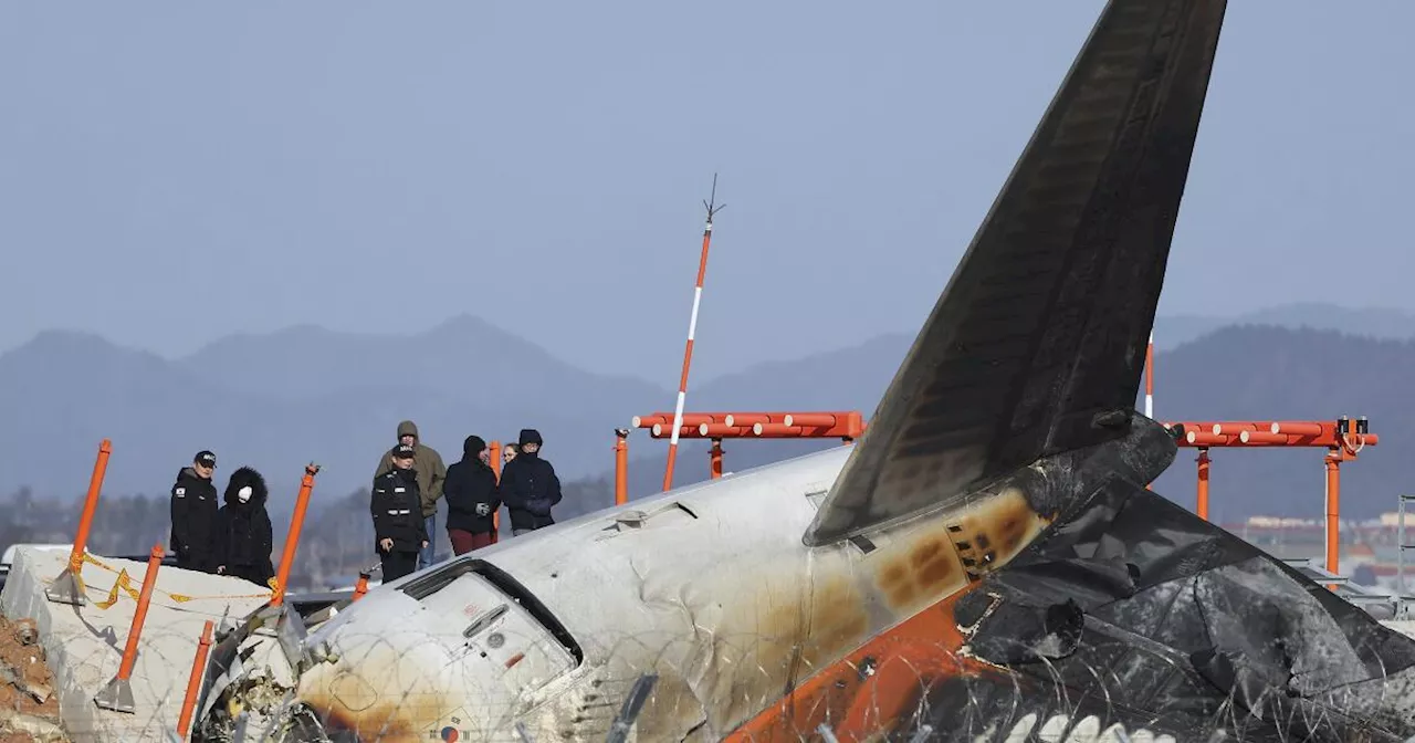 Probe into Deadly South Korea Plane Crash