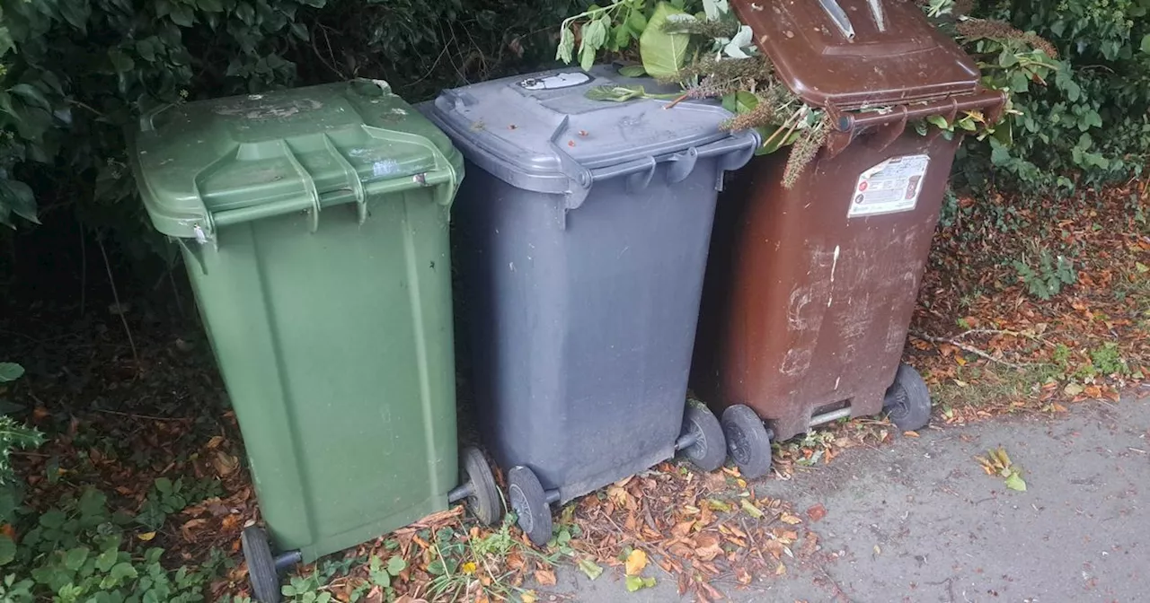 Bin Collections Disrupted Across UK Due to Holidays and Strikes