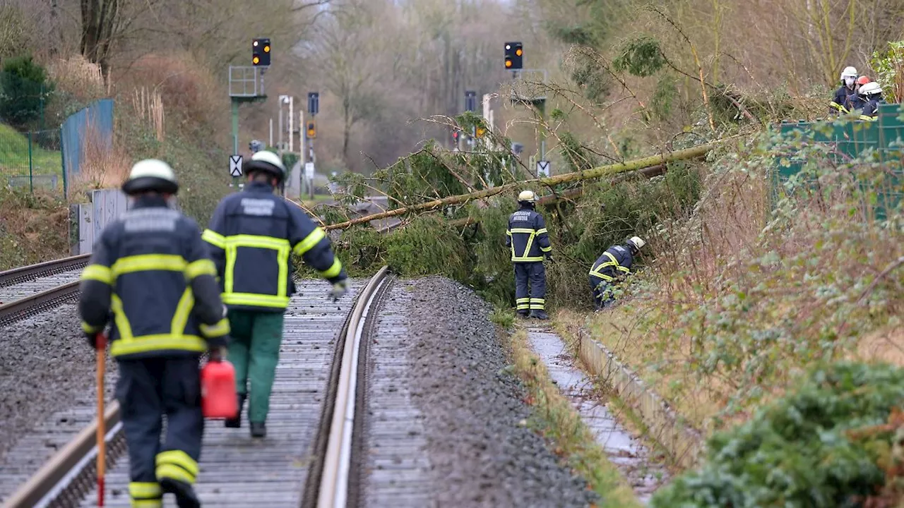 Stürme sorgen für zahlreiche Einsätze der Feuerwehr in Norddeutschland