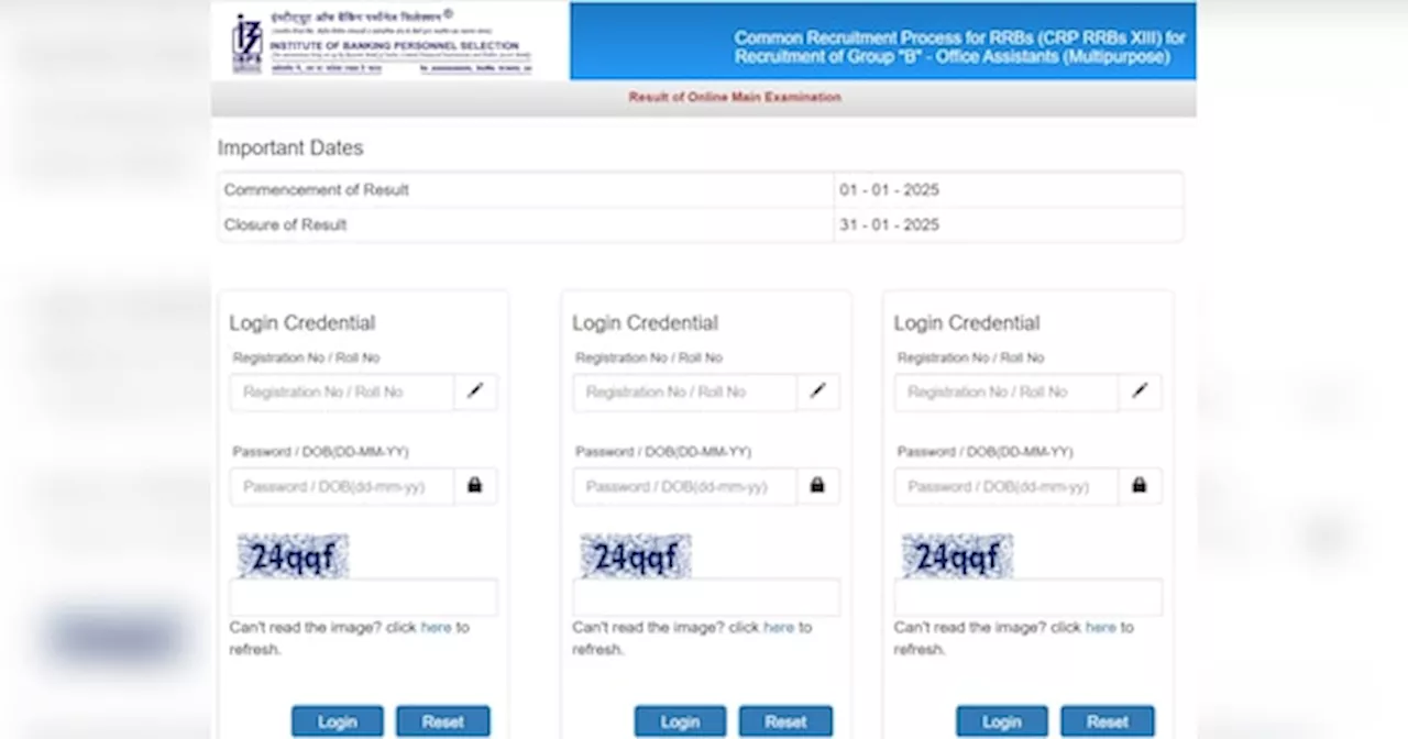 IBPS RRB CRP XIII 2024 Result OUT: बैंक में नौकरी के लिए किया था अप्लाई IBPS ने जारी किया रिजल्ट, यहां कर सकते हैं चेक