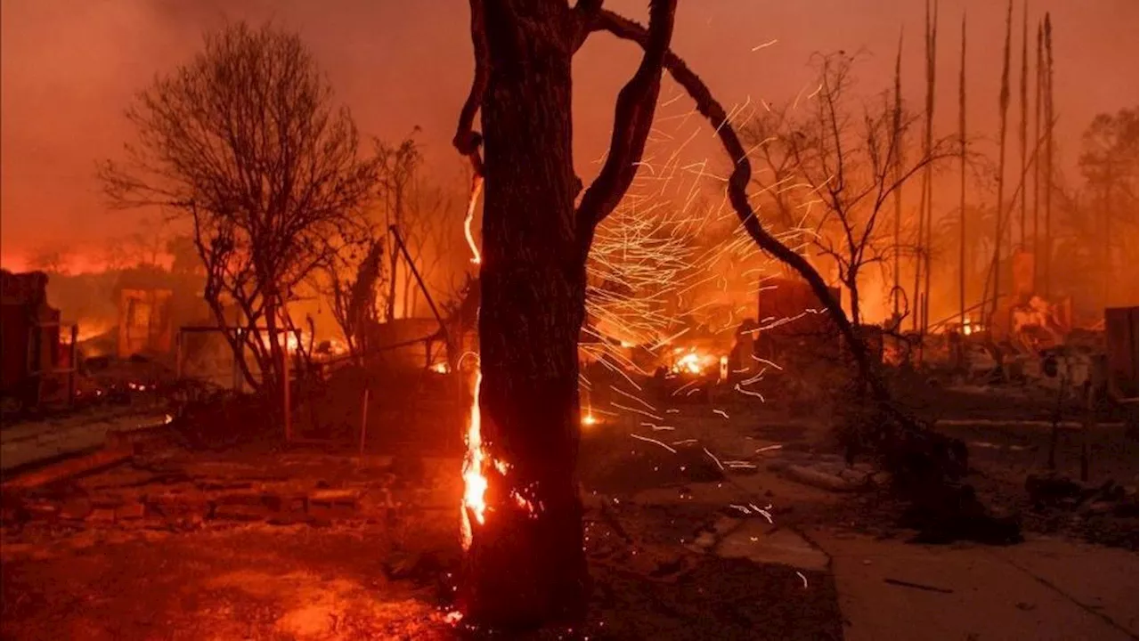 Neighbors Corner Suspect Attempting to Start Fire Amidst Wildfires