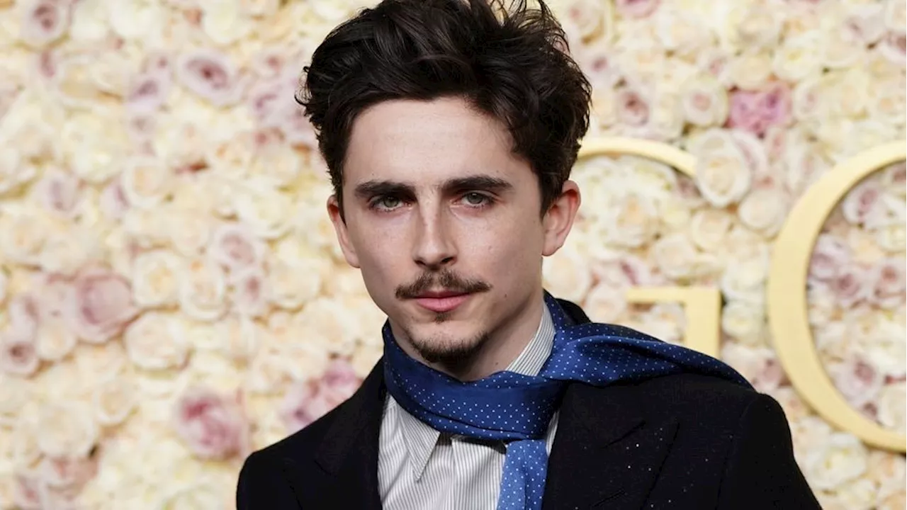 Timothée Chalamet To Host and Perform on SNL