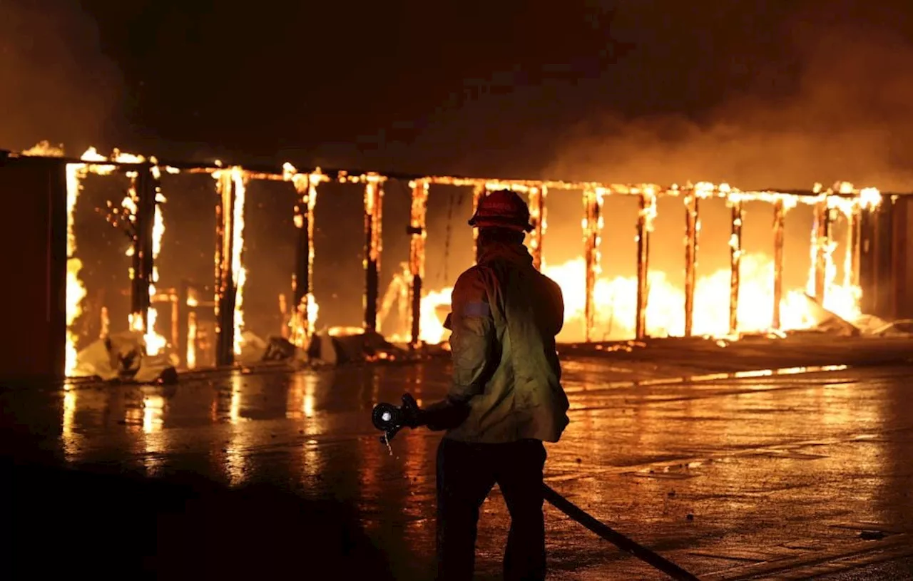 Incendies à Los Angeles : Sharon Stone et Jamie Lee Curtis s’engagent pour les victimes